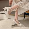 fashion Women's Shoes 2024 Brand Mary Janes Women's High Heels Fashion Buckle Strap Dress Pumps Women New Shallow Round Toe Heels Women
