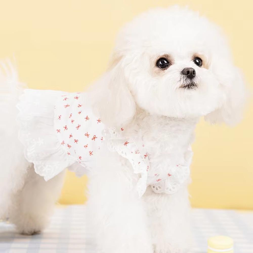 Exquisite Lace Cat Skirt Soft Dog Princess Dress Simple Bow Print Dog Dress  Pet Clothes