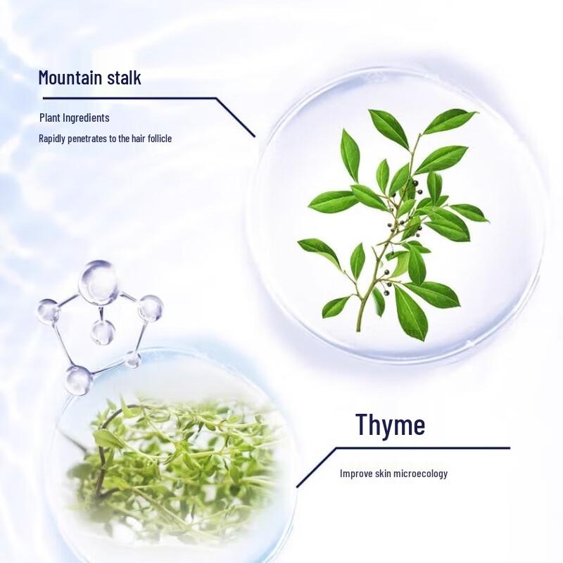 Shu Lei Men's Refreshing Anti-Dandruff Shampoo