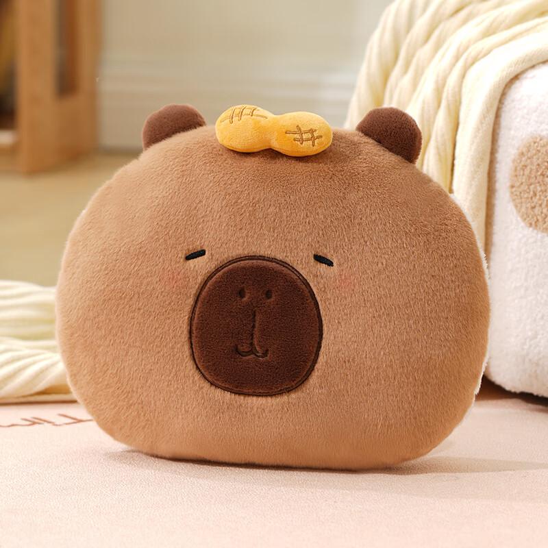 Cartoon Plush Electric Hand Warmer & Hot Water Bottle