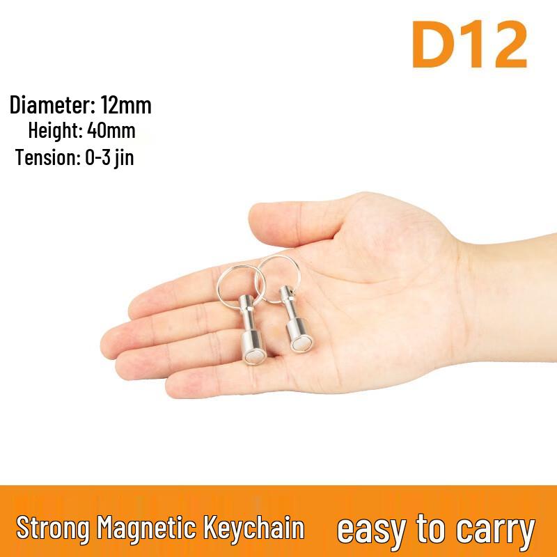Stainless Steel Magnetic Keychains 20-Pack