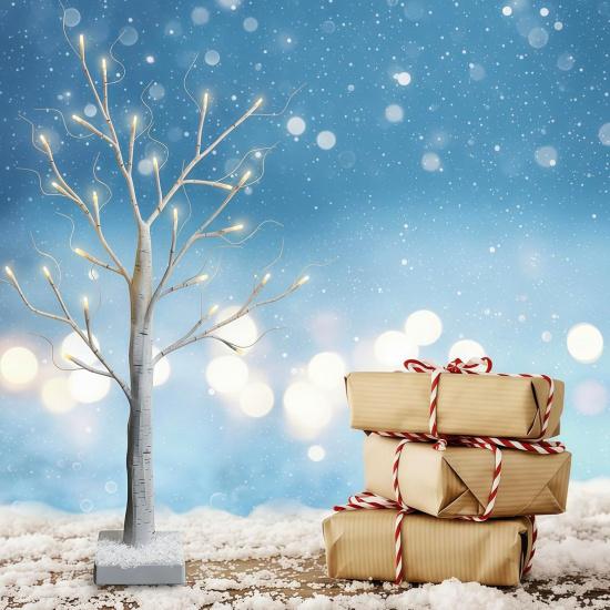 2-Pack Lighted Christmas Halloween Fall Tree Decorations Indoor, 2ft Birch Tree with LED Lights, Small Tabletop Christmas Tree with Lights, Warm