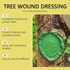 Big Tree Wound Healing Agent Smear Hualitong Tree Bandage Healing Ointment Apply Rooting 1