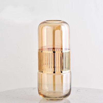 ZISIZ Light Luxury Glass Vase with Golden Iron Stand