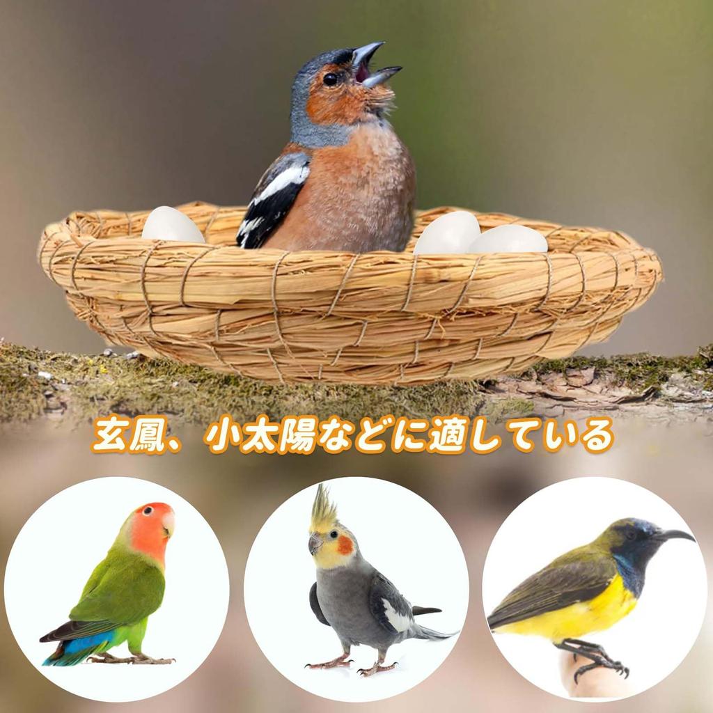 PAVIKE Fake Bird Set of for Fake Chicken Pigeon Breeding Artificial Egg Food Fake Dummy Eggs for and Parakeets Eggs, Toys, 4, Parakeets, Eggs,