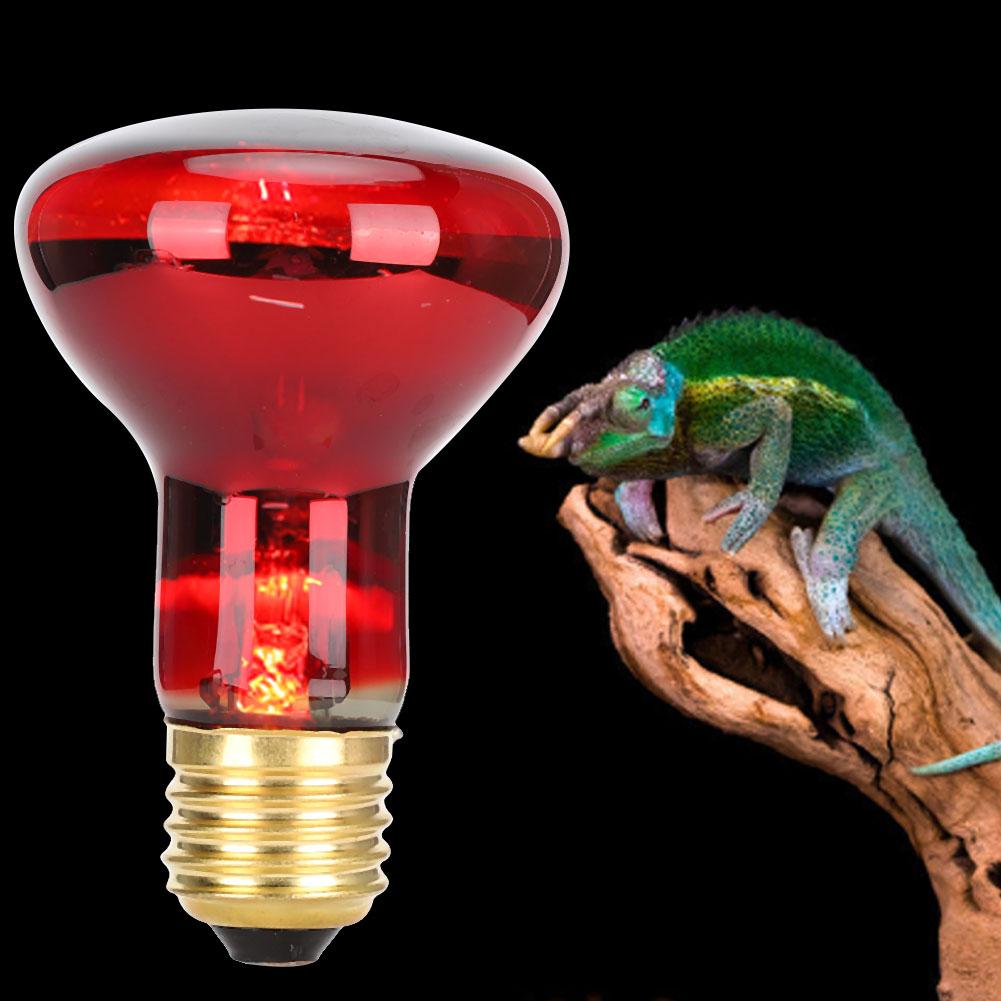 E27 R63 Infrarot Reptilien Glühbirne Tier Haustier Heizlicht Lampe Glühbirne für Schildkröte Schlange 60W