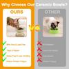 Ceramic Elevated Cat Bowls Tilted Cat Food Bowl Dish Pet Feeder Bowl Dishwasher Microwave Safe