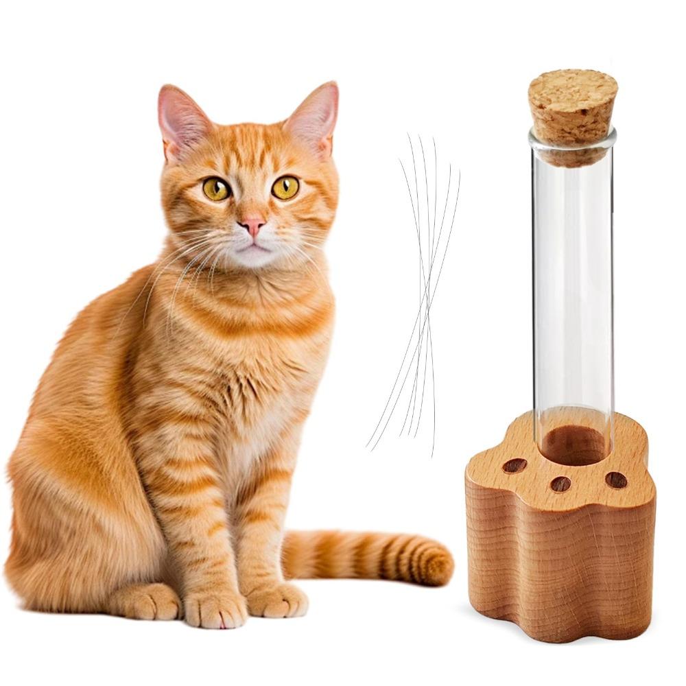 Mini Cat Whisker Jar Paw-Shaped Wood Base Glass Vase Cat Whisker Holder Transparent Memorial Gift Pet Hair Whisker Container