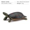 Aquatic Reptile Tortoise Pvc Model Set With Realistic Detailing For Educational Collection