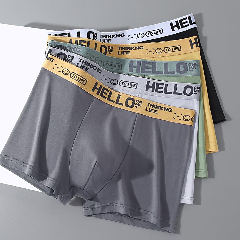 New Hot Item: Men's Youth Mid-Waist Boxer Briefs - Large Size