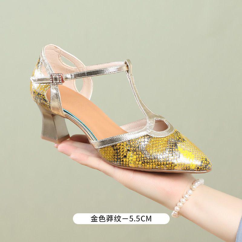2025 New Women's Latin Dance Shoes Closed Head Women's Tango Dance Shoes Women's Salsa Party Dance Shoes High Heels 4.5/5.5CM