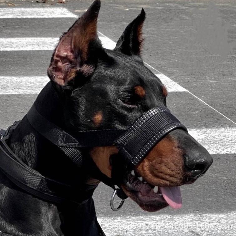 

Outdoor Leather Dog Muzzle: Anti-Bite, Anti-Ingestion & Anti-Barking Collar S чёрный