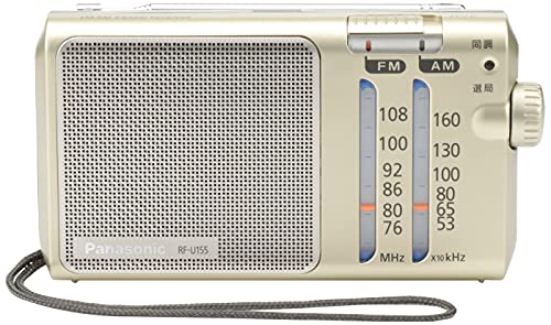 Panasonic FM-AM 2-Band Receiver RF-U155-S