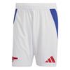 Unisex Adult 2024/2025 Football Shorts