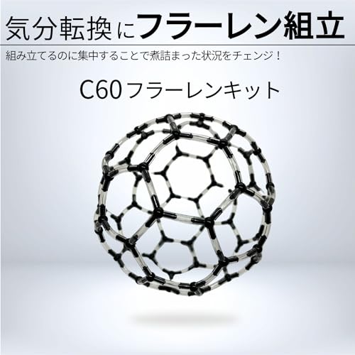 Apricity Molecular Model Kit for Molecular Structure, Organic and Inorganic Chemistry [Includes Japanese Instructions Supervised by University of Toky