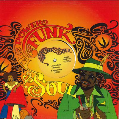 12inch Record VARIOUS - Untitled TPFS010R THE POWER OF FU 2002 US Soul/Funk Used