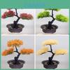 Artificial Pine Tree With Plastic Material For Home Garden Decor And Balcony Landscape