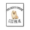 Poster My Little Pomeranian Is My Life | Photo Paper Poster 310 G Pearlescent Finish Size A4 | Living Room Wall Decoration