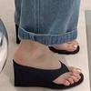 Fashion 2025 Summer New Pointed Women's Thick Bottom Slope Heel Slippers Fashionable and Comfortable Casual Women's Sandals