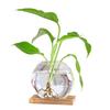 Nordic Wood Art Hydroponic Vase - Pothos Ornament for Living Room & Office Decor