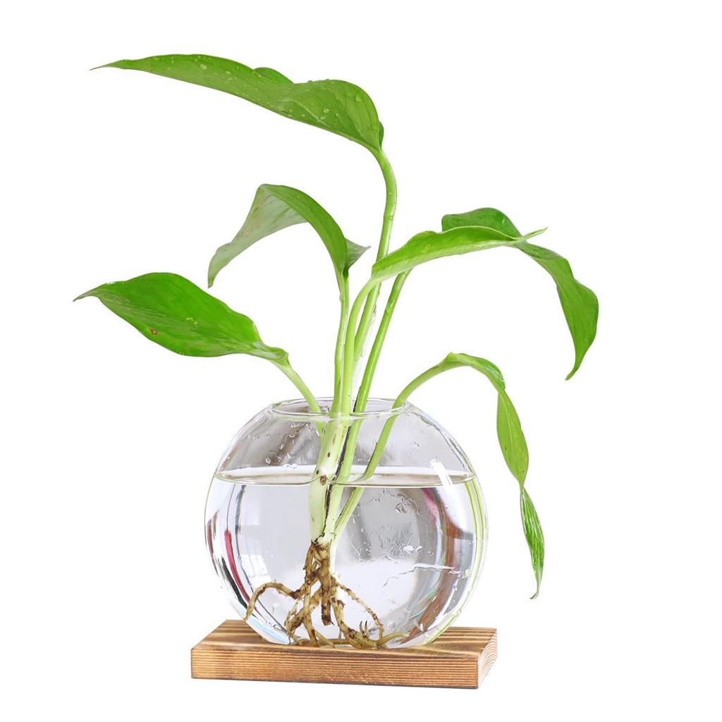Nordic Wood Art Hydroponic Vase - Pothos Ornament for Living Room & Office Decor