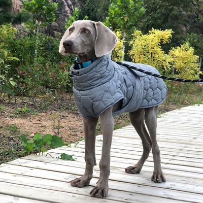 Giyim ve ayakkabı – Köpekler İçin Ceketler ve Montlar