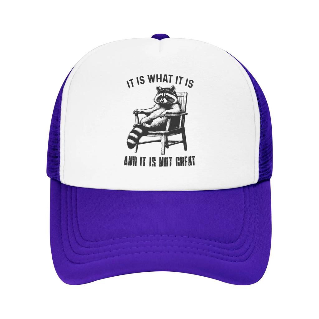 Raccoon quote Mesh Caps Merch for Women Men Adjustable Baseball Cap Mesh-Back Breathable Cooling Hats