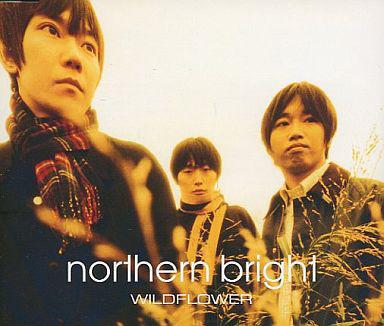 

12inch Record NORTHERN BRIGHT Wildflower SYUM0139 SONY 1999 Japan Japanese PopRock Used