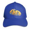 Dio Road Roller Baseball Cap Hat Unisex Luxury western Hat New In Hat Golf Ladies Unisexs