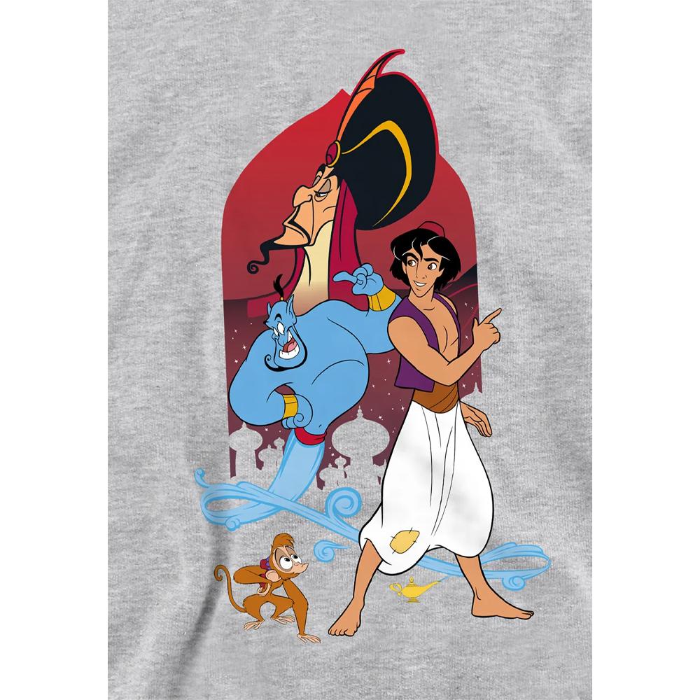 Aladdin Childrens/Kids Characters Pullover Hoodie