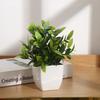 Eucalyptus Potted Greenery Plant For Indoor Living Styling Room