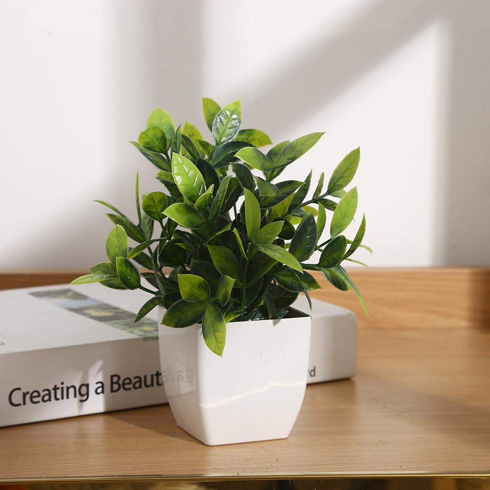 Eucalyptus Potted Greenery Plant For Indoor Living Styling Room