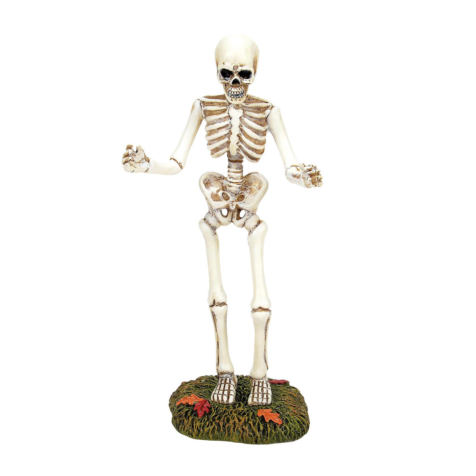 

56 Village Collection Accessories Halloween Sized For Surprise Skeleton Figurine, 6.75 Inch One Size