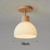 Creative Ceiling Light Fixtures Pendant Minimalist Round Lamp for Apartment Aisle Restaurant