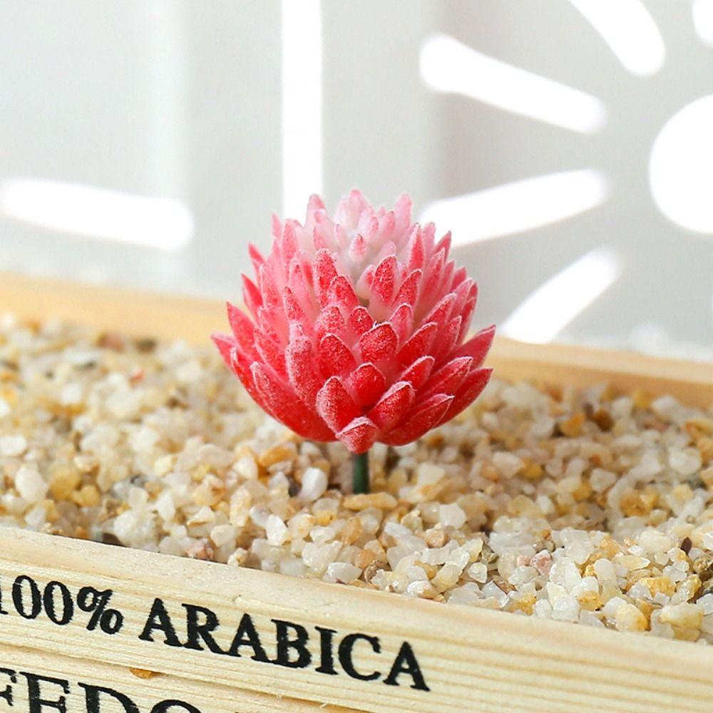 2pcs DIY Artificial Succulent Plants Mini Simulated Floral Plants  Garden