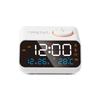 Temperature and Humidity Clock Perpetual Calendar LED Charging Clock Control FM Radio Alarm Clock