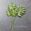 Glue Feel Turtle Leaf Simulation Plastic Leaf Home Decoration Plastic Flower Fake Plant Simulation Green Plant