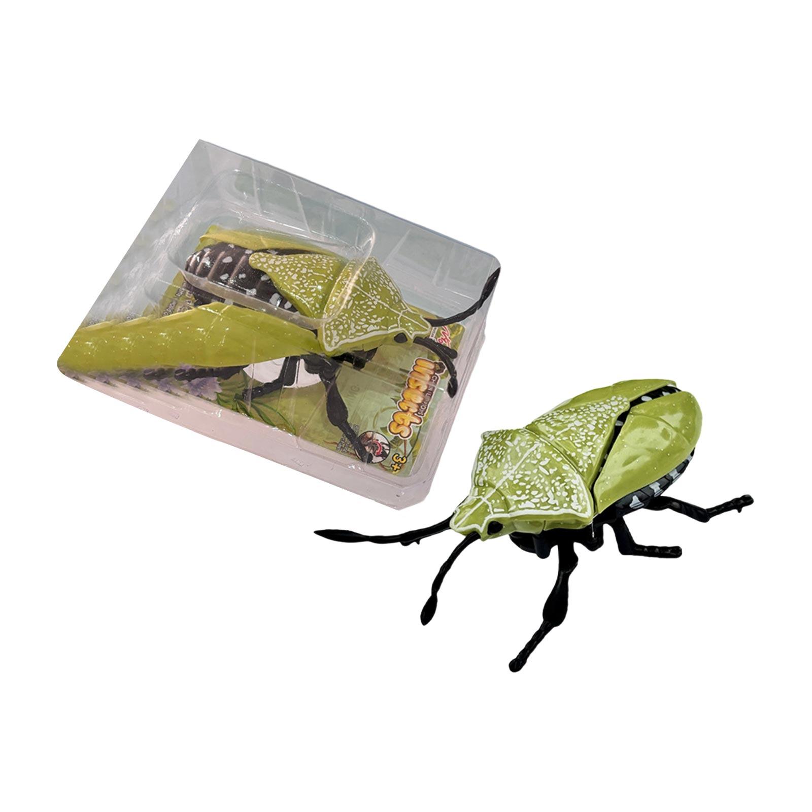 

Realistic Insect Models, Crawling Simulation Insect Toys,Perfect Small Gifts For Kids One Size