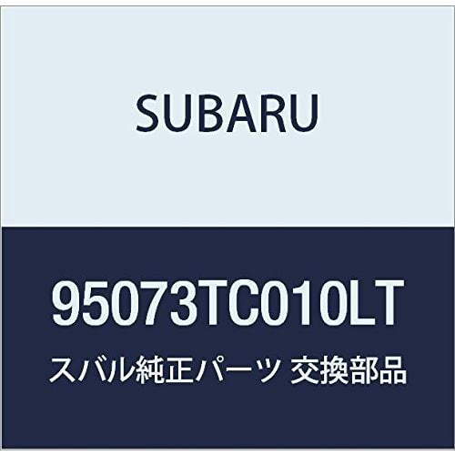 

Оригинальные детали SUBARU Etsuji Cab Floor Left Номер детали 95073TC010LT