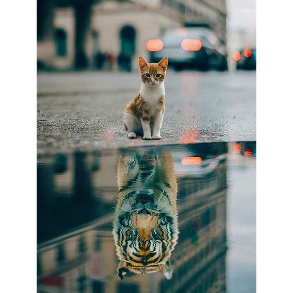 5D DIY Diamant Malerei Katze Strass Bild Diamant Stickerei Reflexion Tier Kreuzstich Mosaik Tiger Wandkunst