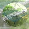Fishing Net Case Portable Foldable Fishing Net Cage Round Open Pull Fishing Net Lobster For Fishing Travel Port Fishing Boat