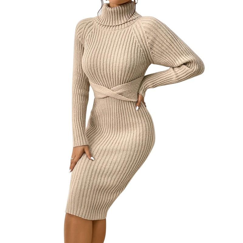 Womens High Neck Slim Fit Knit Sweater Dress Solid Color Long Sleeve Casual Chic Outfit
