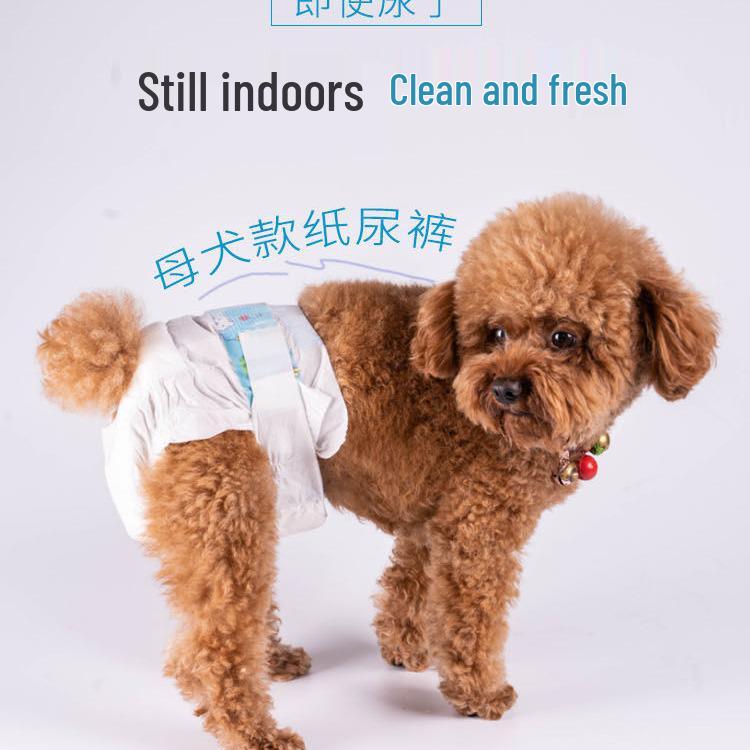 Breathable Male Puppy Diapers - Skin-Friendly Period Pants for Dogs