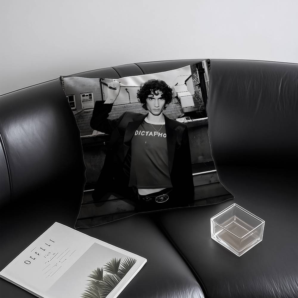 Singer S-som-brs Pillow Case Anti-dustmite Invisible zipper Sofa Bed