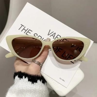Occhiali e accessori – Occhiali da sole