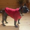 Kleine Hundekleidung Winter Haustier Hoodie Welpen Katze Mantel Jacke Französische Bulldogge Chihuahua Yorkie Kostüm Mops Outfits Haustiere liefert