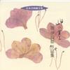 CD CHORUS KURUME MUSIC ASSOCIATION CH Japanese Choral Music Group Ikumos VICG40197 VICTOR ENTERTAI 1997 Japan ObiClassical Used