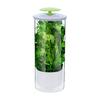 Herb Keeper Jar Refrigerator Herb Saver Storage Jar with Ventilation Slots And Drainage Holes Cilantro Saver Extend Freshness Gift for Enthusiasts