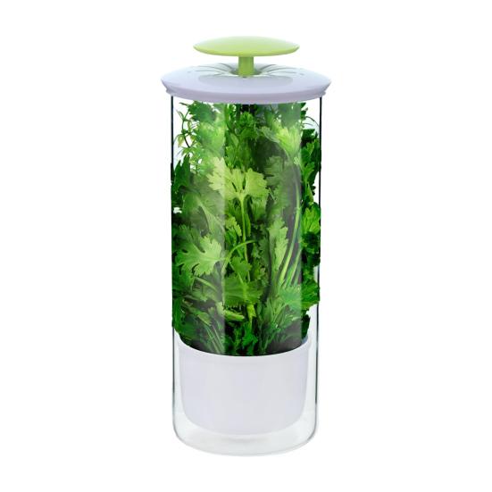 Herb Keeper Jar Refrigerator Herb Saver Storage Jar with Ventilation Slots And Drainage Holes Cilantro Saver Extend Freshness Gift for Enthusiasts
