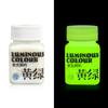Glow in the Dark Paint,Acrylic Paint for Decorations,Art Painting Rich Pigments